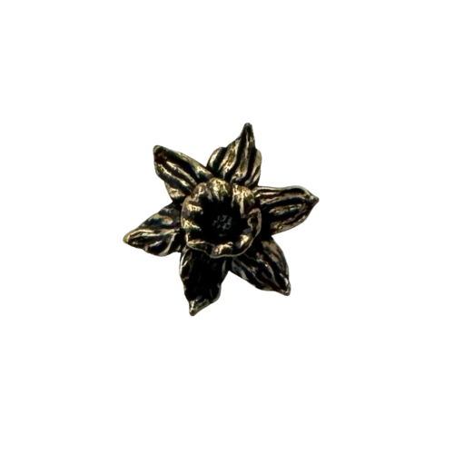 Daffodil