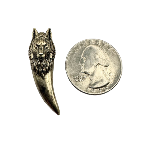 Brass wolf tooth pin shown beside a coin for scale